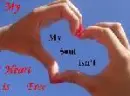 heart coraÃ§ao