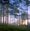 Dalat