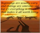 wolf poem