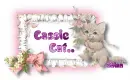 Cassie Cat's kitten tag