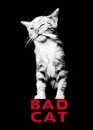 bad