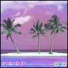 paradise