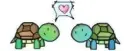 Turtle Love