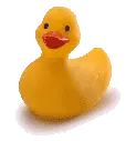 Rubber Duckie you're the one