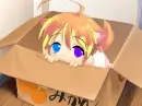 chibi neko
