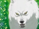 kiba