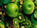 fruit