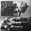 beauty
