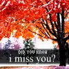 miss you