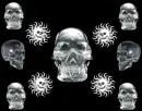 Skull Background