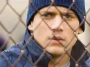 Wentworth Miller