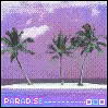 paradise