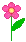 Pink Flower