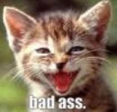 badass cat