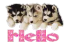 Hello