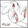 FLY!