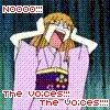 Voices