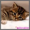 Adorable