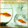 Finally Found You