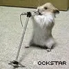 Rockstar