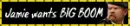 Mythbusters Jamie "Big Boom"