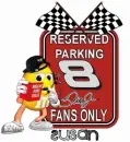 Nascar's Number 8 for Susan
