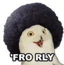 fro fly