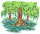 swamp