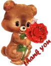 teddy