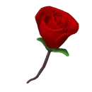 rosacorazon