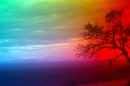 Multicolored Sky