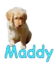 Maddy