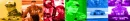 Dale Jr Fandom Love Bar