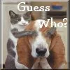 Guess who kitty/doggy