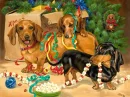 dachshunds