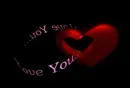ily