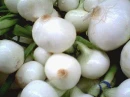 Green Onions