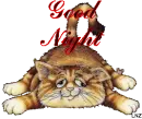 Good Night Kitty