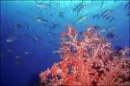 fundo do mar