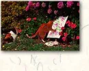 painting cat
