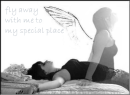fly away