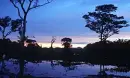 Pantanal