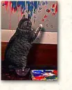 painting cat