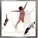 dancing with the cats