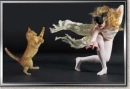dancing cat