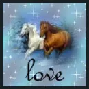 horse love