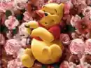 Pooh Bear