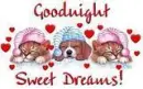 SWEET DREAMS
