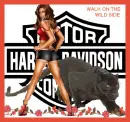 walk on the wild side