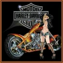 harley girl